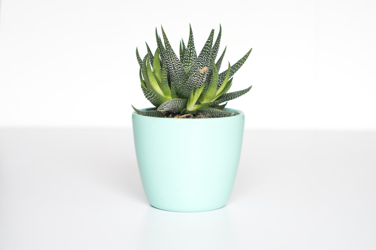 Smart Plant Pot